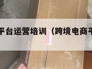 跨境电商平台运营培训（跨境电商平台运营培训课程）