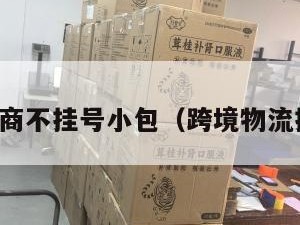 跨境电商不挂号小包（跨境物流挂号费）