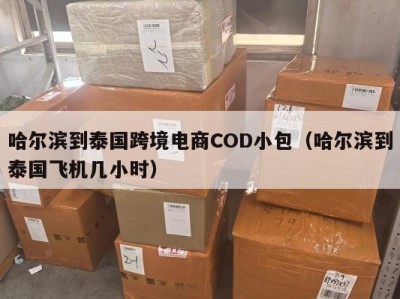 哈尔滨到泰国跨境电商COD小包（哈尔滨到泰国飞机几小时）