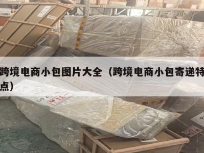跨境电商小包图片大全（跨境电商小包寄递特点）
