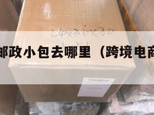 跨境电商邮政小包去哪里（跨境电商邮政包裹）