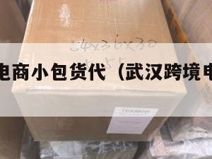 武汉跨境电商小包货代（武汉跨境电商公司招聘）