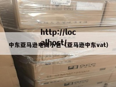 中东亚马逊电商小包（亚马逊中东vat）