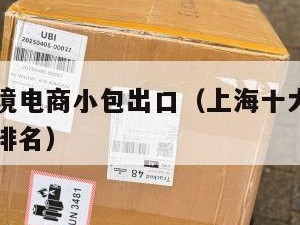 上海做跨境电商小包出口（上海十大跨境出口电商公司排名）