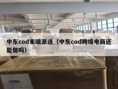 中东cod末端派送（中东cod跨境电商还能做吗）