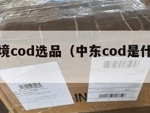 中东跨境cod选品（中东cod是什么意思）