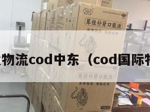 跨境物流cod中东（cod国际物流）