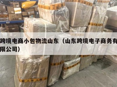 跨境电商小包物流山东（山东跨境电子商务有限公司）