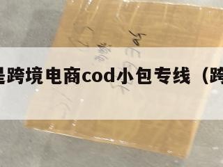 什么是跨境电商cod小包专线（跨境 cod）