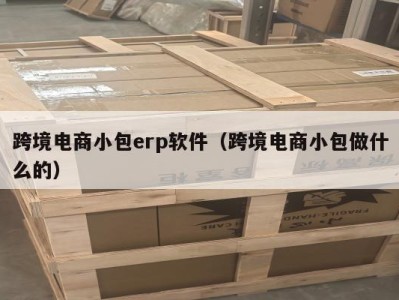 跨境电商小包erp软件（跨境电商小包做什么的）