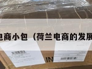 荷兰电商小包（荷兰电商的发展情况）
