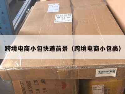 跨境电商小包快递前景（跨境电商小包裹）