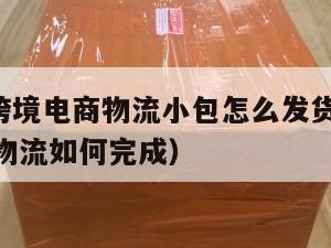 ebay跨境电商物流小包怎么发货（ebay跨境物流如何完成）