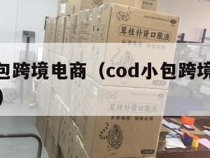 cod小包跨境电商（cod小包跨境电商是真的吗）