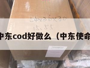 中东cod好做么（中东使命）