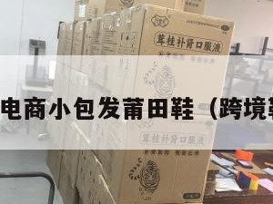 跨境电商小包发莆田鞋（跨境鞋子）