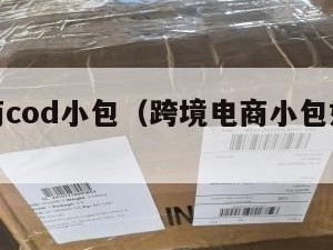 跨境电商cod小包(跨境电商小包如何清关)