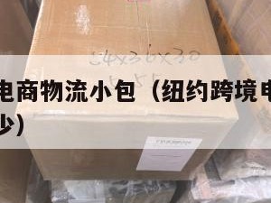 纽约跨境电商物流小包（纽约跨境电商物流小包运费多少）