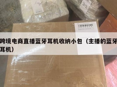 跨境电商直播蓝牙耳机收纳小包（主播的蓝牙耳机）