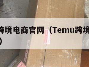 temu跨境电商官网（Temu跨境电商官网下载）