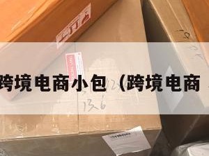 广东跨境电商小包（跨境电商 小包）