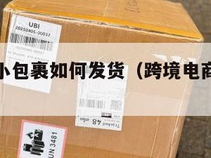 跨境电商小包裹如何发货（跨境电商小包如何清关）