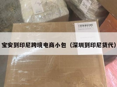 宝安到印尼跨境电商小包（深圳到印尼货代）