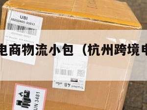 杭州跨境电商物流小包（杭州跨境电子商务平台）