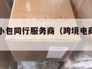 跨境电商小包同行服务商（跨境电商物流小包专线）