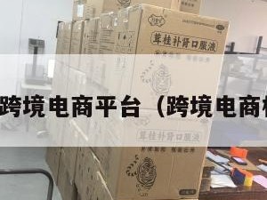 跨境电商跨境电商平台（跨境电商权威网站）