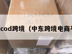 中东cod跨境（中东跨境电商平台）