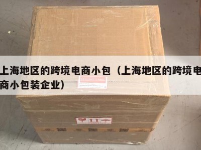 上海地区的跨境电商小包（上海地区的跨境电商小包装企业）