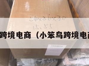 小笨鸟跨境电商（小笨鸟跨境电商模式）