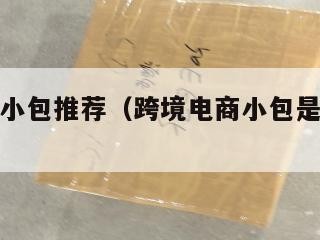 跨境电商小包推荐（跨境电商小包是什么意思）