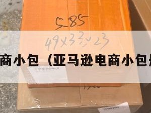 亚马逊电商小包（亚马逊电商小包是正品吗）