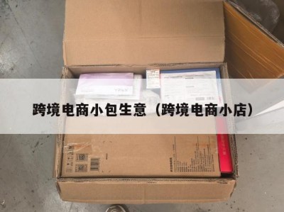 跨境电商小包生意（跨境电商小店）
