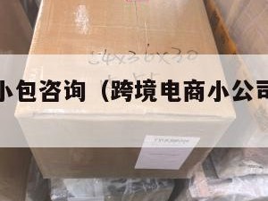 跨境电商小包咨询（跨境电商小公司待遇怎么样）