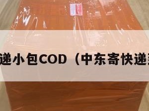 中东快递小包COD（中东寄快递到中国）