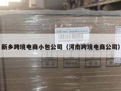 新乡跨境电商小包公司（河南跨境电商公司）