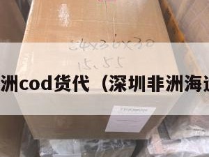 深圳非洲cod货代（深圳非洲海运庄家）