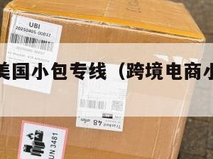 跨境电商美国小包专线（跨境电商小包寄递特点）