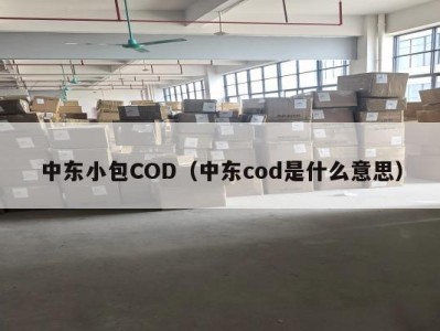 中东小包COD（中东cod是什么意思）