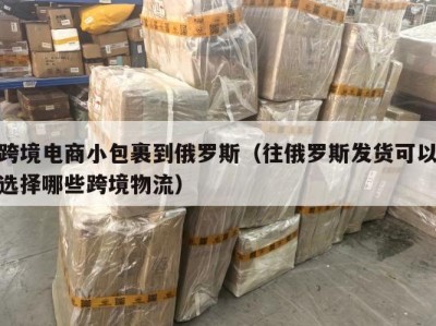 跨境电商小包裹到俄罗斯（往俄罗斯发货可以选择哪些跨境物流）