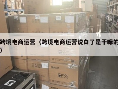 跨境电商运营（跨境电商运营说白了是干嘛的）