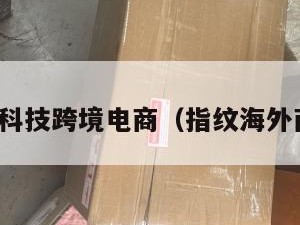 指纹科技跨境电商（指纹海外商城）