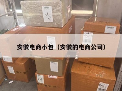 安徽电商小包（安徽的电商公司）