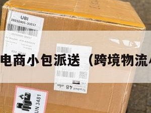 跨境电商小包派送（跨境物流小包）