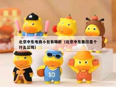 北京中东电商小包有哪些（北京中东集团是个什么公司）