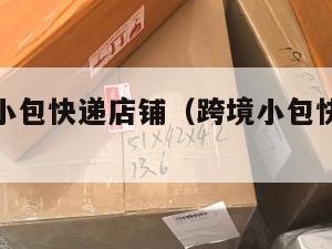 跨境电商小包快递店铺（跨境小包快递找哪家便宜快速）