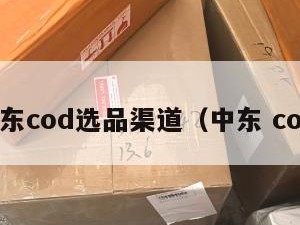 中东cod选品渠道（中东 cod）